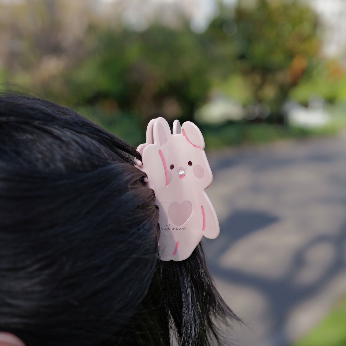 Hair Claws